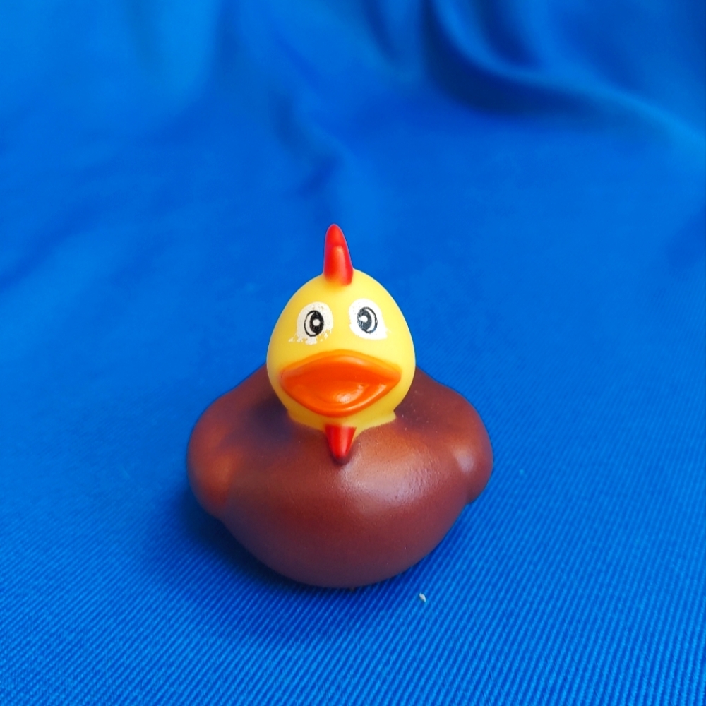 #16 Duck For Duck Duck Plushie Game